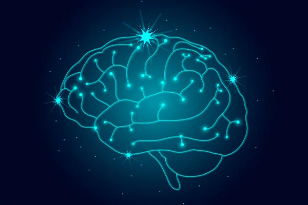 Is Epilepsy a Disability